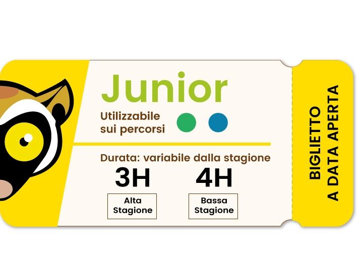 5-Ticket-Acropark-Junior-3h4h.jpg