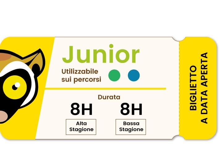 6-Ticket-Acropark-Junior-8h.jpg